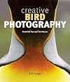 Creative Bird Photography: Essential Tips and Techniques