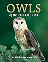 Owls of North America