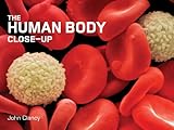 The Human Body Closeup