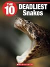 The 10 Deadliest Snakes