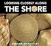 Looking Closely along the Shore