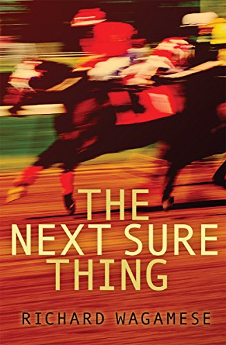 The Next Sure Thing book cover