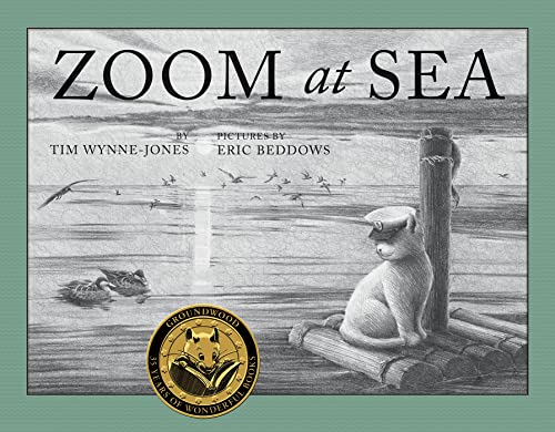 Zoom at Sea book cover