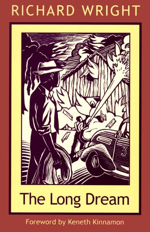 The Long Dream book cover