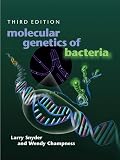 Molecular Genetics Of Bacteria