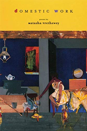 Domestic Work: Poems book cover