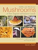Edible And Medicinal Mushrooms Of New England And Eastern Canada A Photographic Guidebook To Finding And Using Key Species