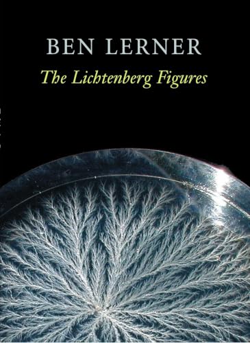 The Lichtenberg Figures book cover