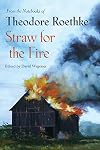 Straw for the Fire: From the Notebooks of Theodore Roethke