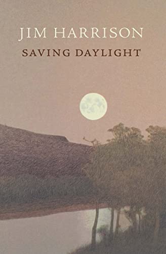 Saving Daylight book cover