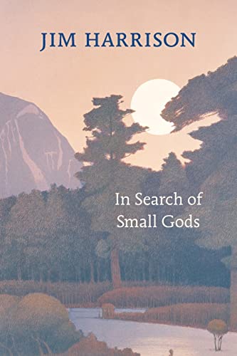 In Search of Small Gods book cover