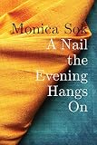 A Nail The Evening Hangs On