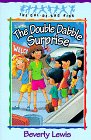 The Double Dabble Surprise book cover