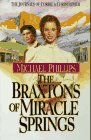 The Braxtons of Miracle Springs book cover