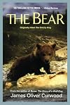 The Bear