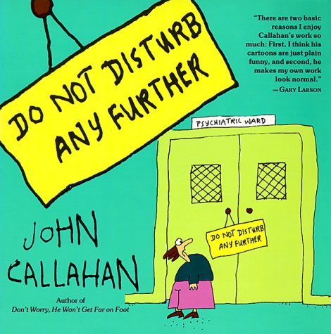 Do Not Disturb Any Further book cover