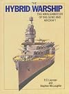 Hybrid Warship: The Amalgamation of Big Guns and Aircraft
