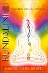 Kundalini, Evolution and Enlightenment (Omega Book)