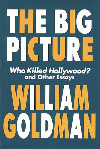 The Big Picture book cover