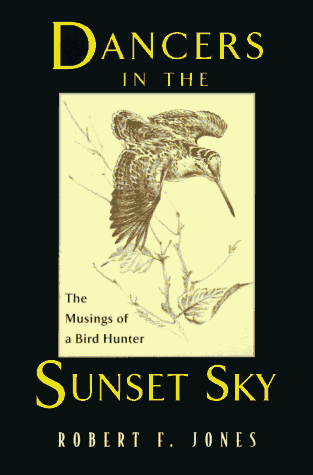 Dancers in the Sunset Sky book cover