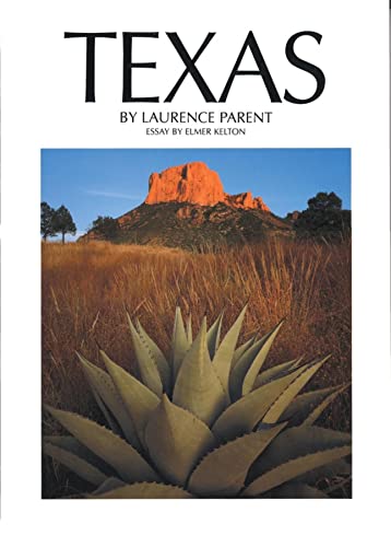 Texas book cover