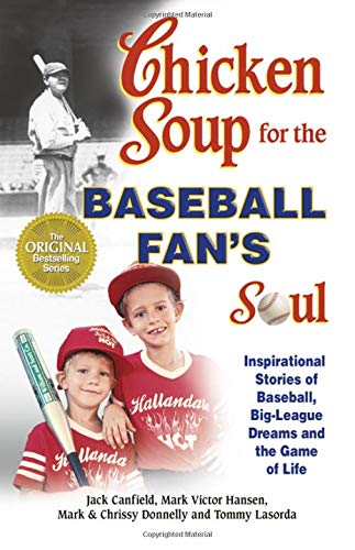 Baseball Fan's Soul book cover