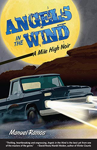 Angels in the Wind book cover