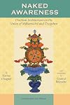 Naked Awareness: Practical Instructions on the Union of Mahamudra and Dzogchen