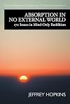 Absorption in no external world : 170 issues in mind-only Buddhism
