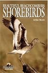 Shorebirds: Beautiful Beachcombers (Northword Wildlife Series (Minocqua, Wis.).)