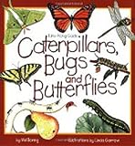 Caterpillars, Bugs and Butterflies