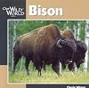 Bison (Our Wild World)