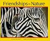Friendships In Nature