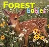 Forest Babies (Animal Babies)