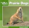 Prairie Dogs (Our Wild World)