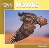 Hawks (Our Wild World)