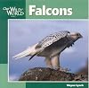 Falcons (Our Wild World)