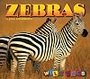 Zebras (Wild Ones)