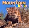 Mountain Babies (Animal Babies)