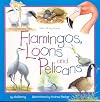 Flamingos, Loons & Pelicans (Take Along Guides)