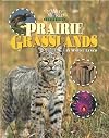 Prairie Grasslands (Our Wild World Ecosystems)