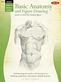 Beginners Guide Basic Anatomy Figure Drawing