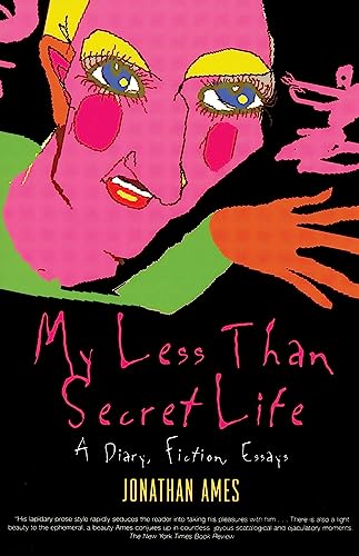 My Less Than Secret Life cover