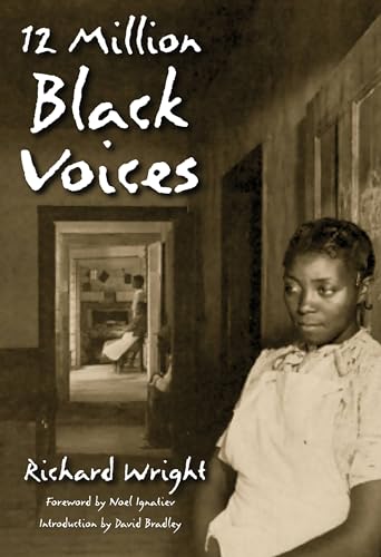 12 Million Black Voices book cover
