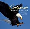 Colorado Wildlife Portfolio