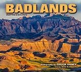 Badlands Impressions