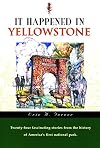It Happened In Yellowstone (It Happened In Series)