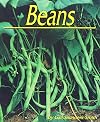 Beans (Plants Life Cycles)