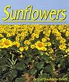 Sunflowers (Plants Life Cycles)