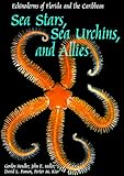 Sea Stars Sea Urchins And Allies Echinoderms Of Florida And The Caribbean